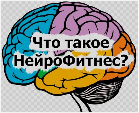 [neurofitnes.ru] Что такое НейроФитнес (2021)_0.png